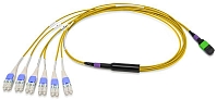 Разветвительная кабельная сборка серии CORE 8 1 × MTP(8) (male) — LC(8), SM G.657.A2, 15 м, выносы 0,7 м, ULL